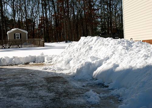  Jan. 31, 2010   width=