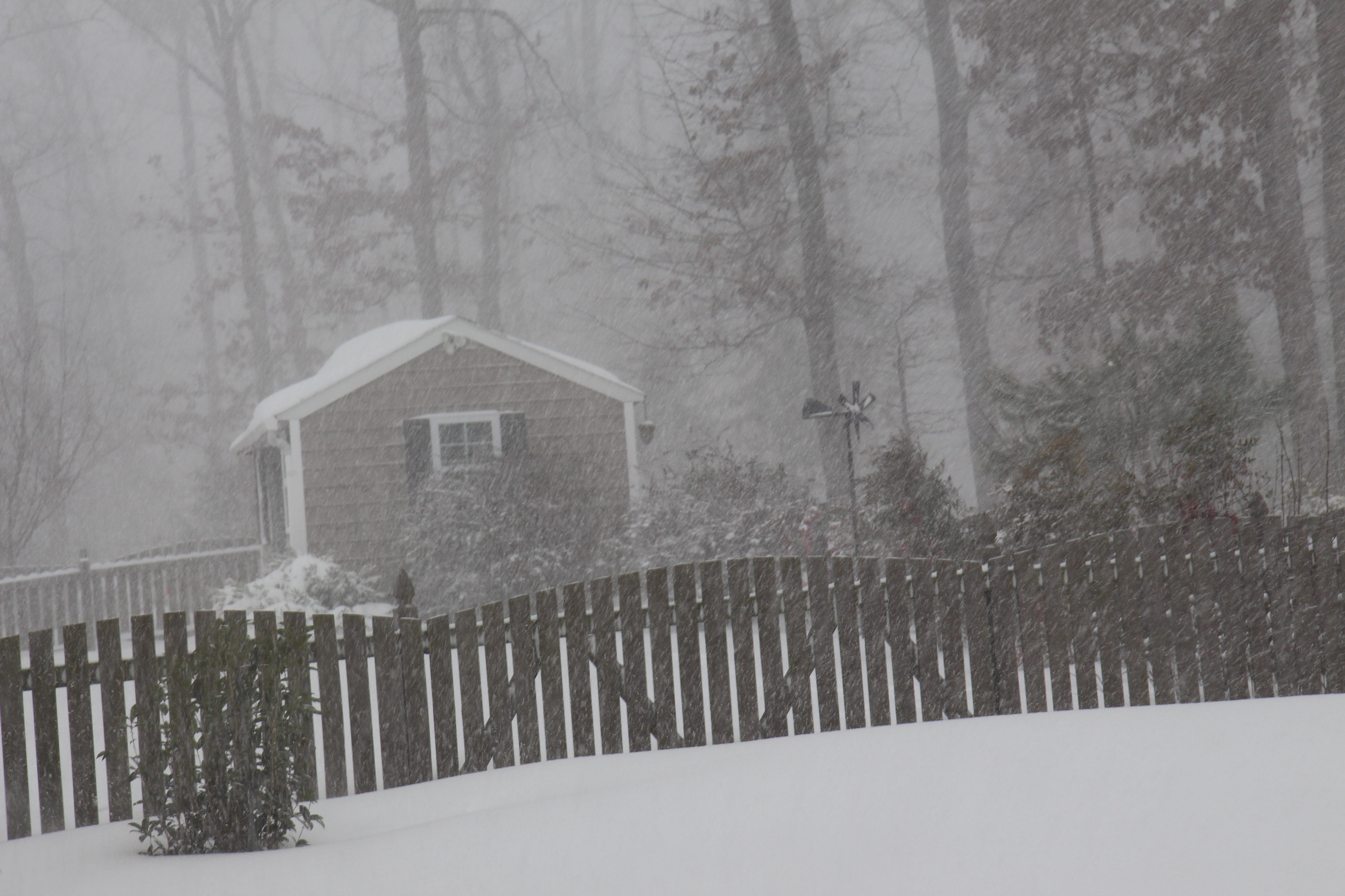 snow on January 23, 2016   width=