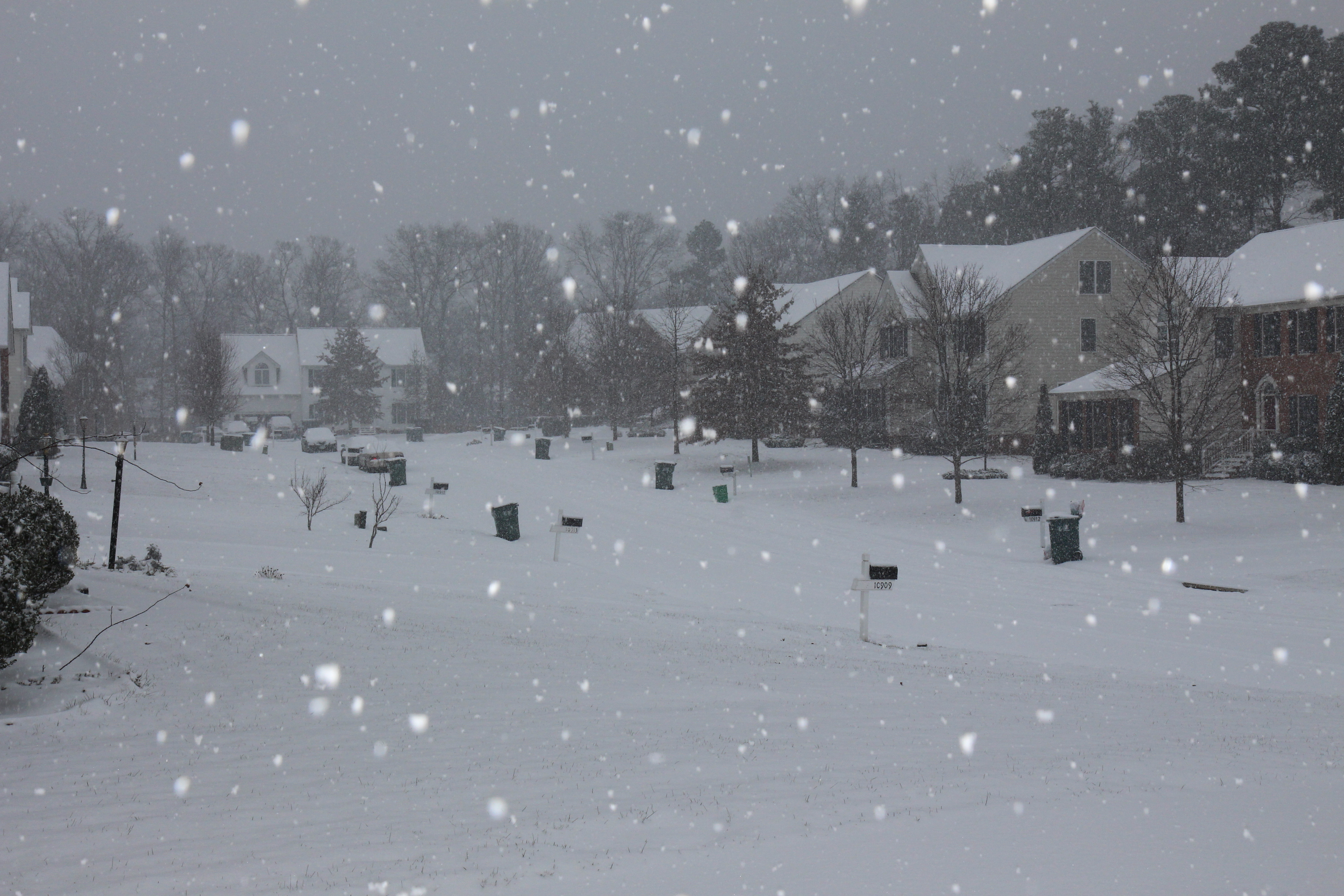 snow on January 23, 2016   width=