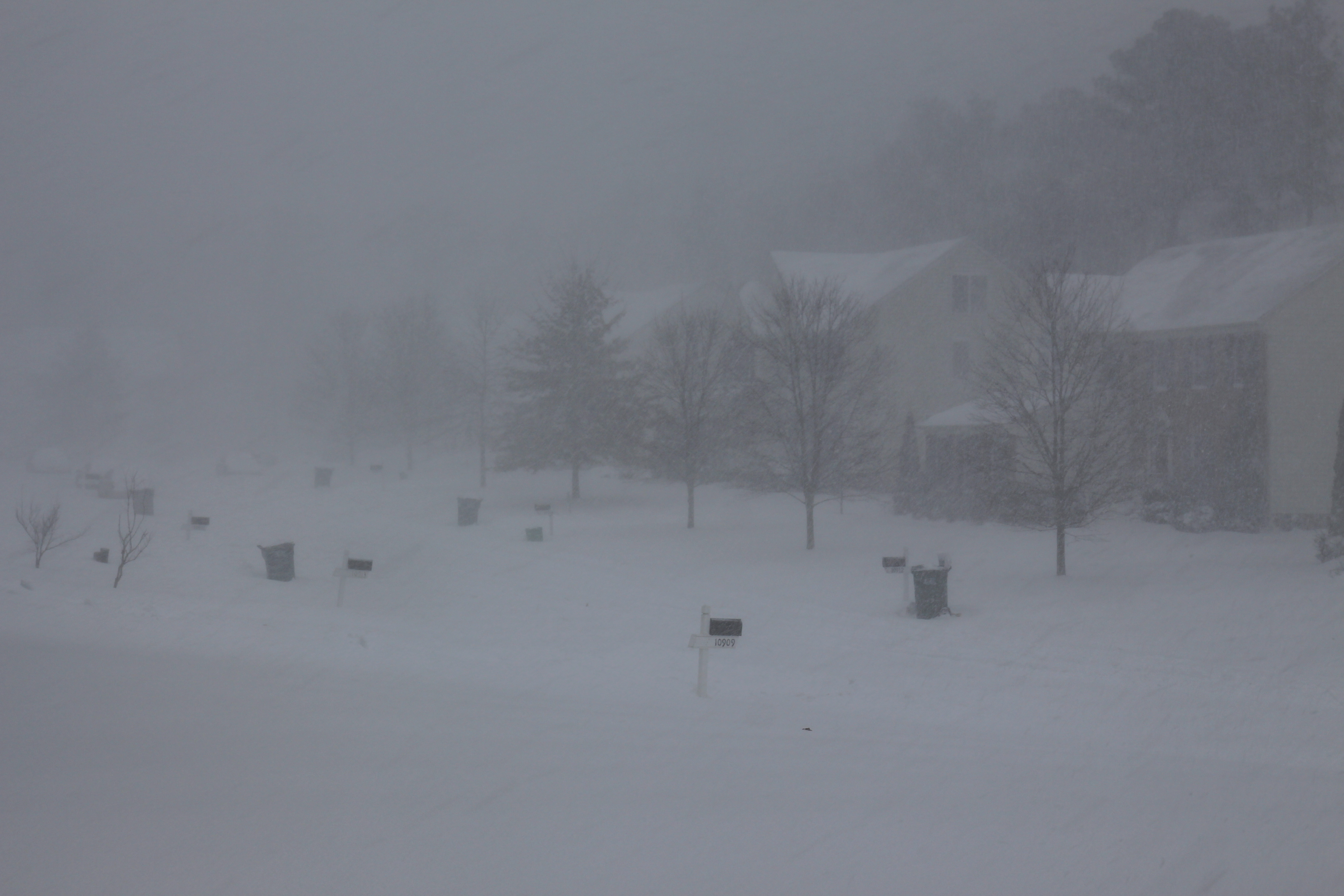 snow on January 23, 2016   width=