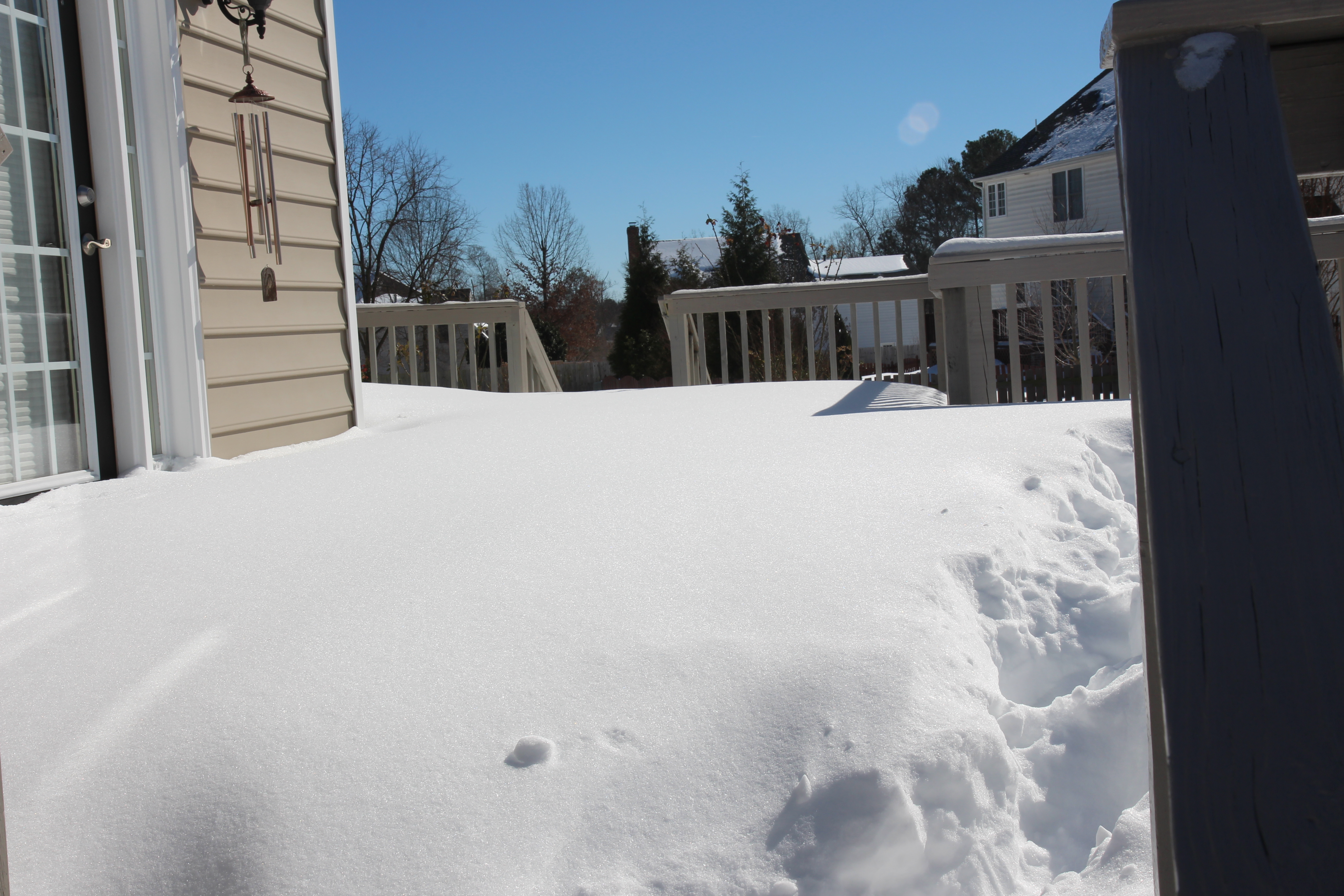 snow on January 23, 2016   width=