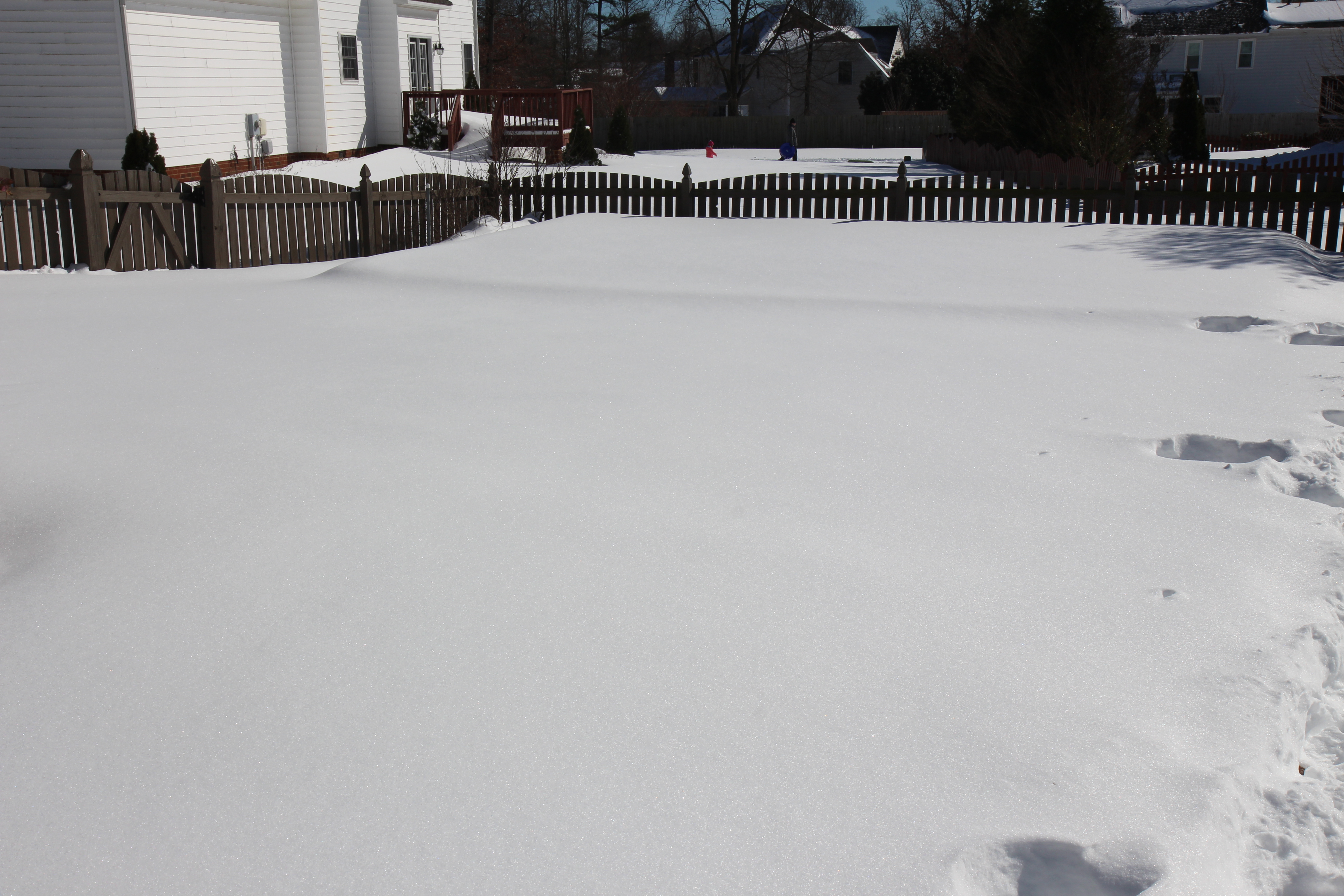 snow on January 23, 2016   width=