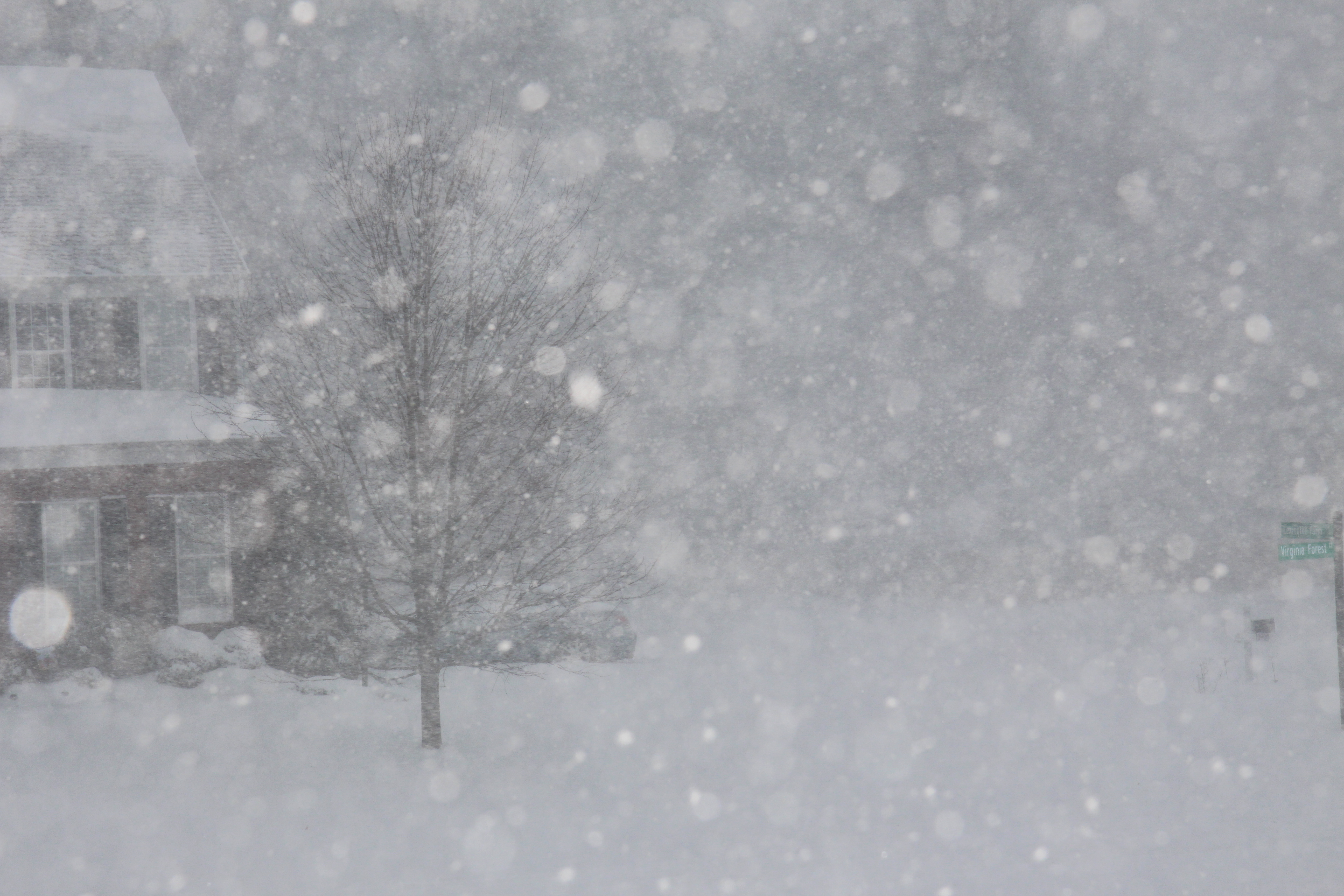 snow on January 23, 2016   width=
