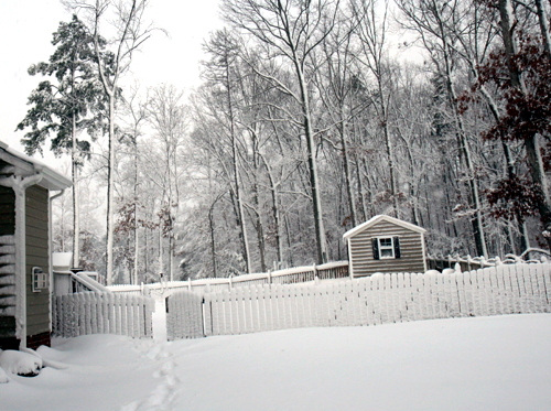  March 2, 2009   width=
