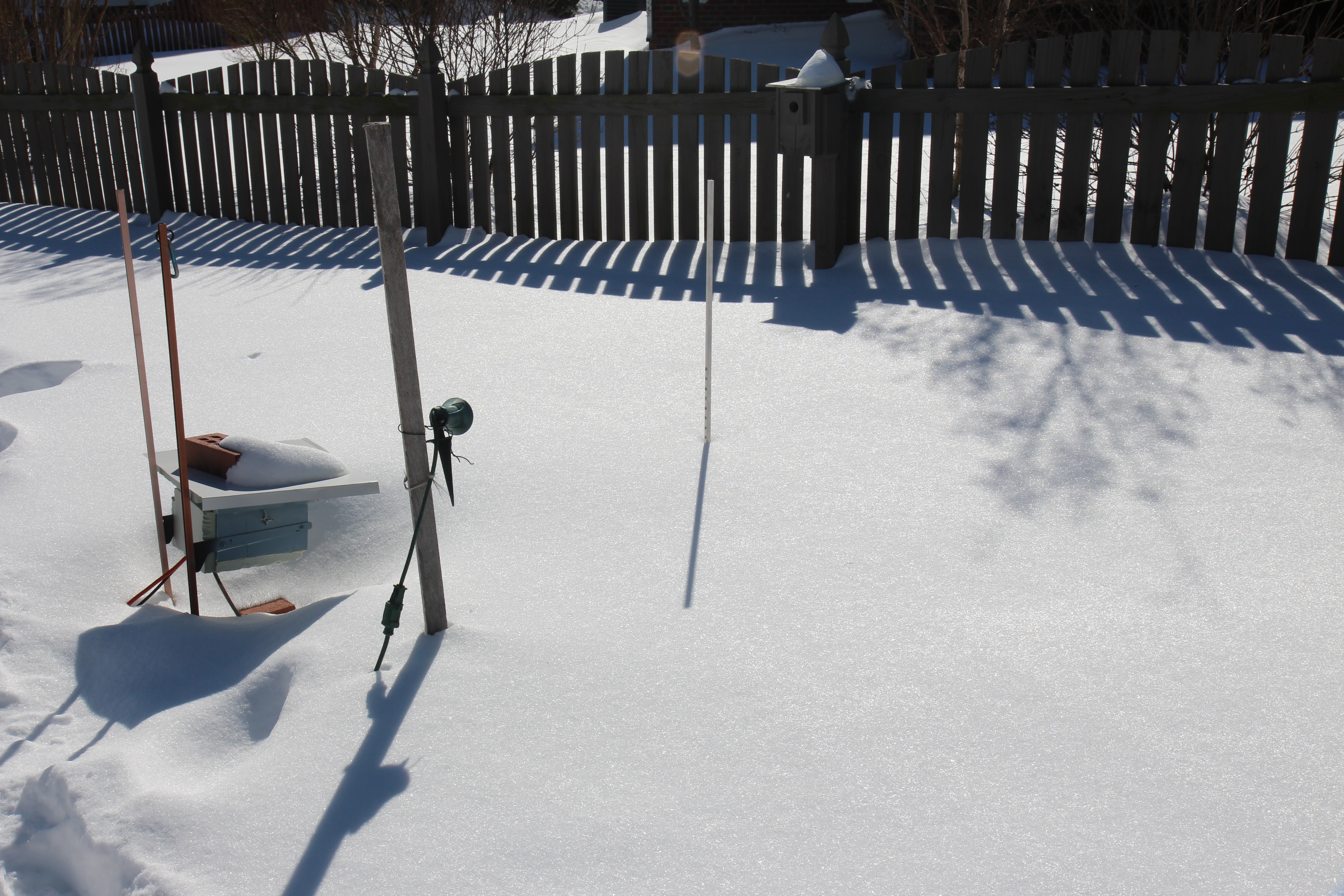 snow on January 23, 2016   width=