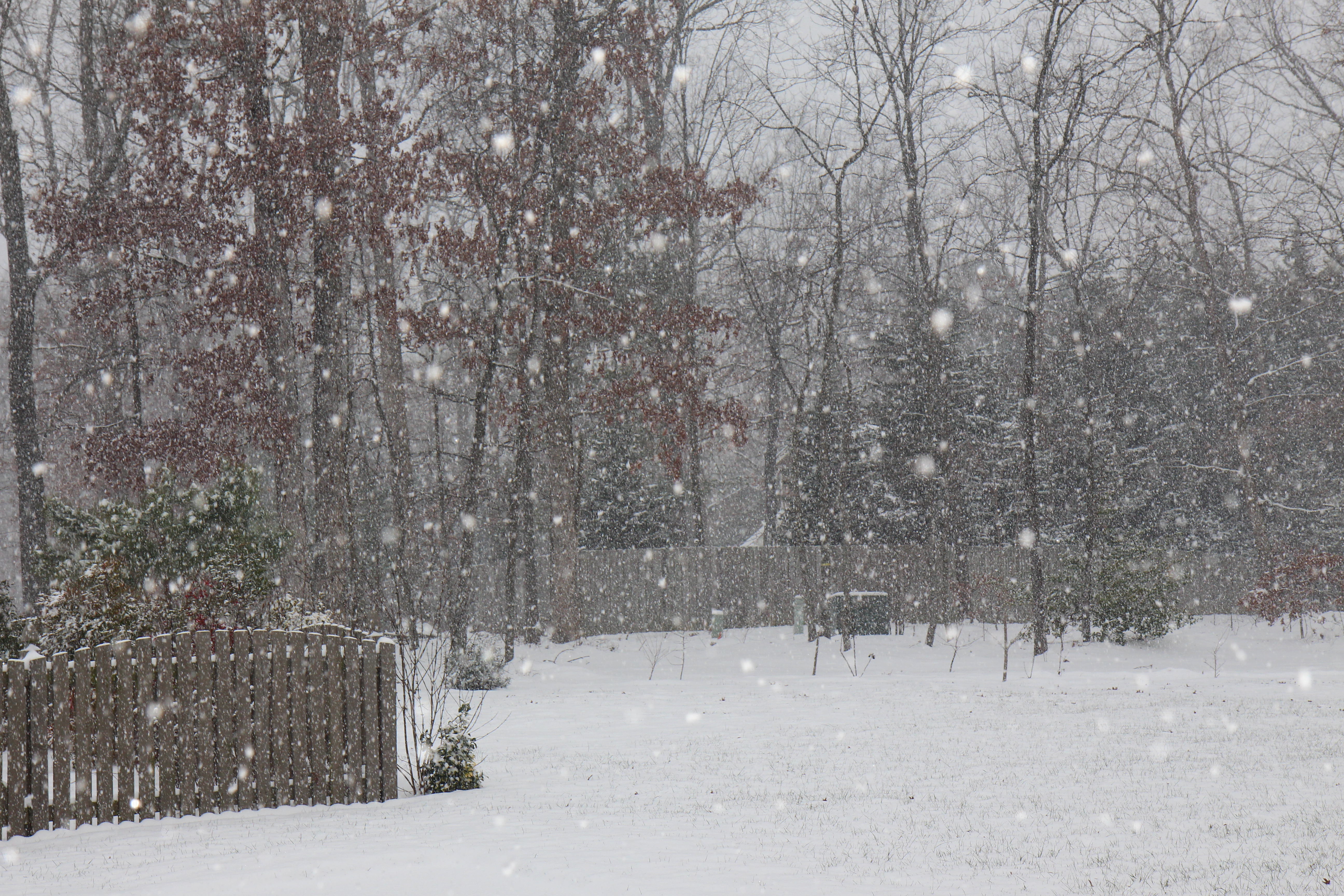 snow on January 23, 2016   width=