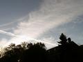 Cirrus and a contrail   