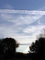 Cirrus and a contrail   